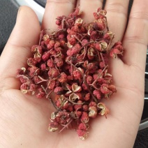 花椒大红袍花椒精品货通过规格齐全商超品质价格便宜保质保