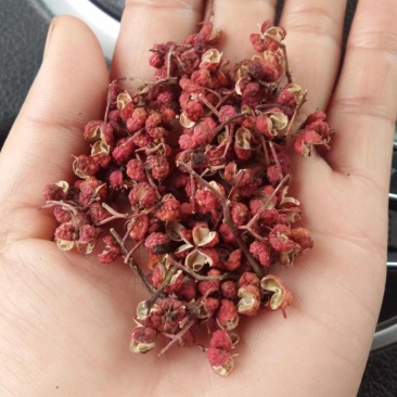 花椒大红袍花椒精品货通过规格齐全商超品质价格便宜保质保