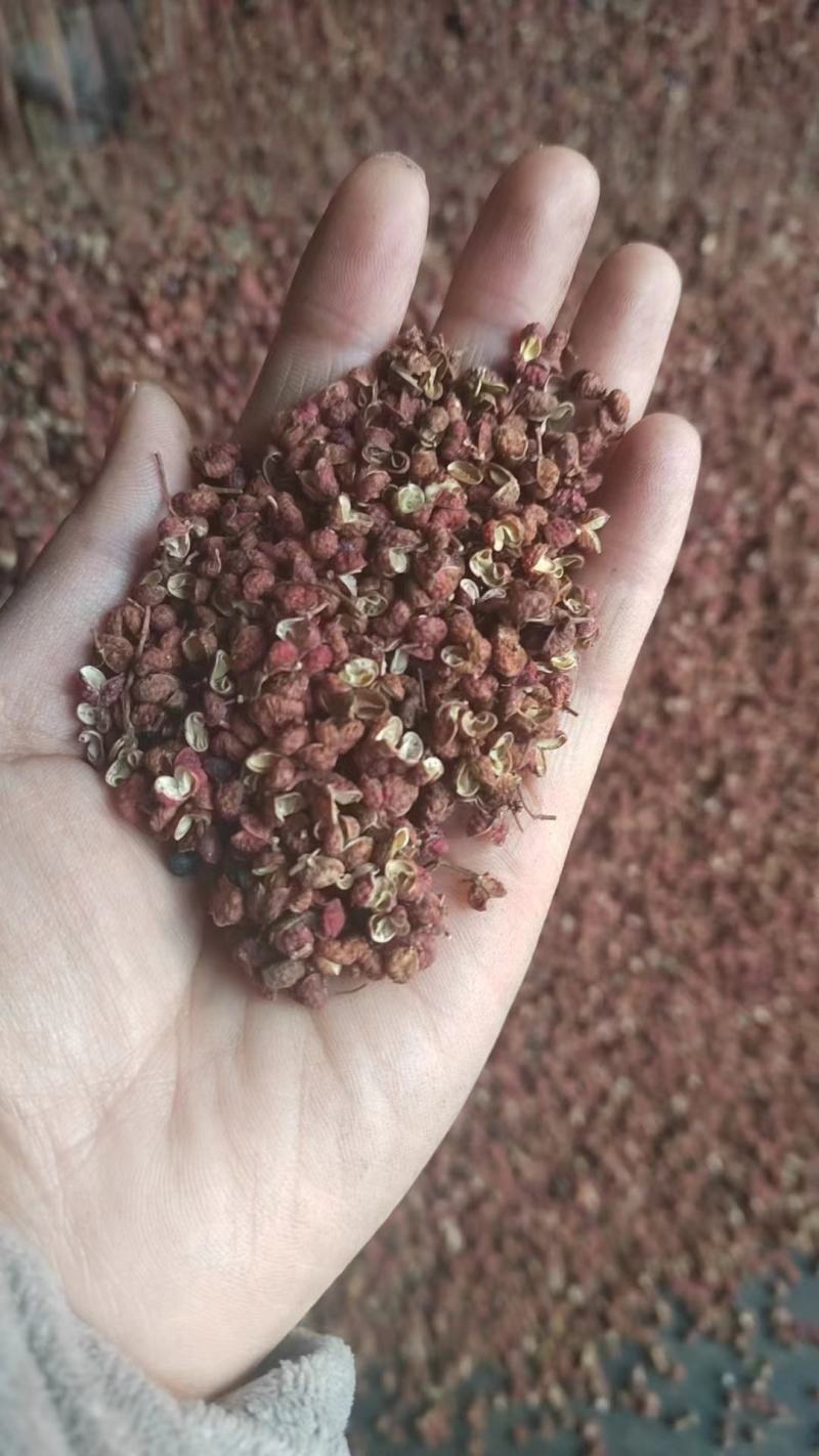 花椒大红袍花椒精品货通过规格齐全商超品质价格便宜保质保