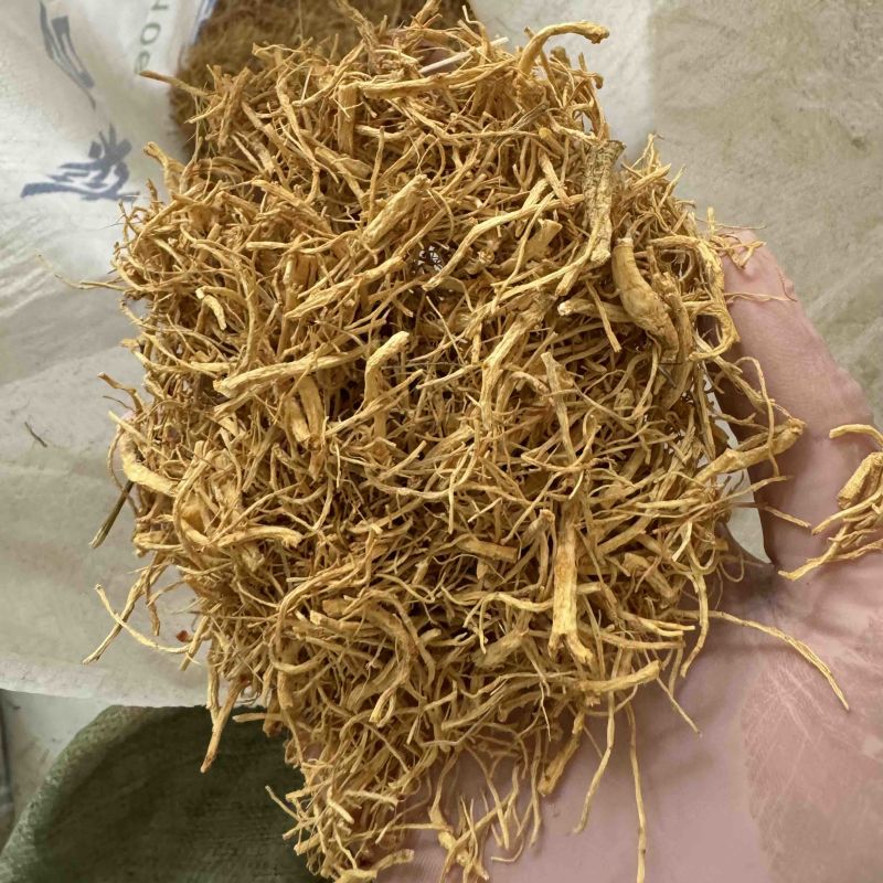 西洋参须西洋参实物拍摄保庆药业批发西洋参须