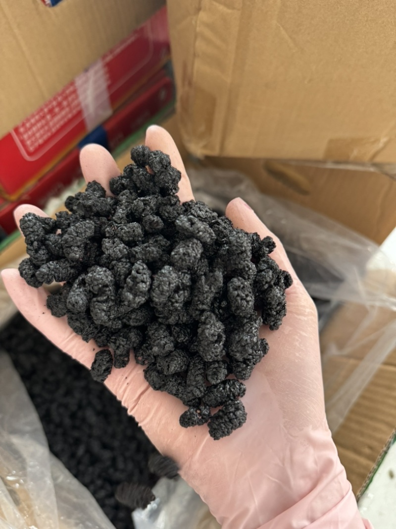桑葚桑葚干保庆药业批发桑葚中药材实物拍摄各种规格