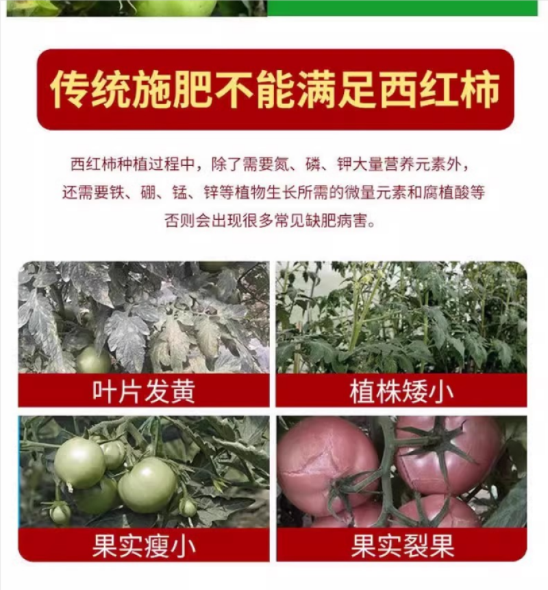 脐腐防裂膨大素菌毒抑制剂番茄圣女果膨大素膨果催红