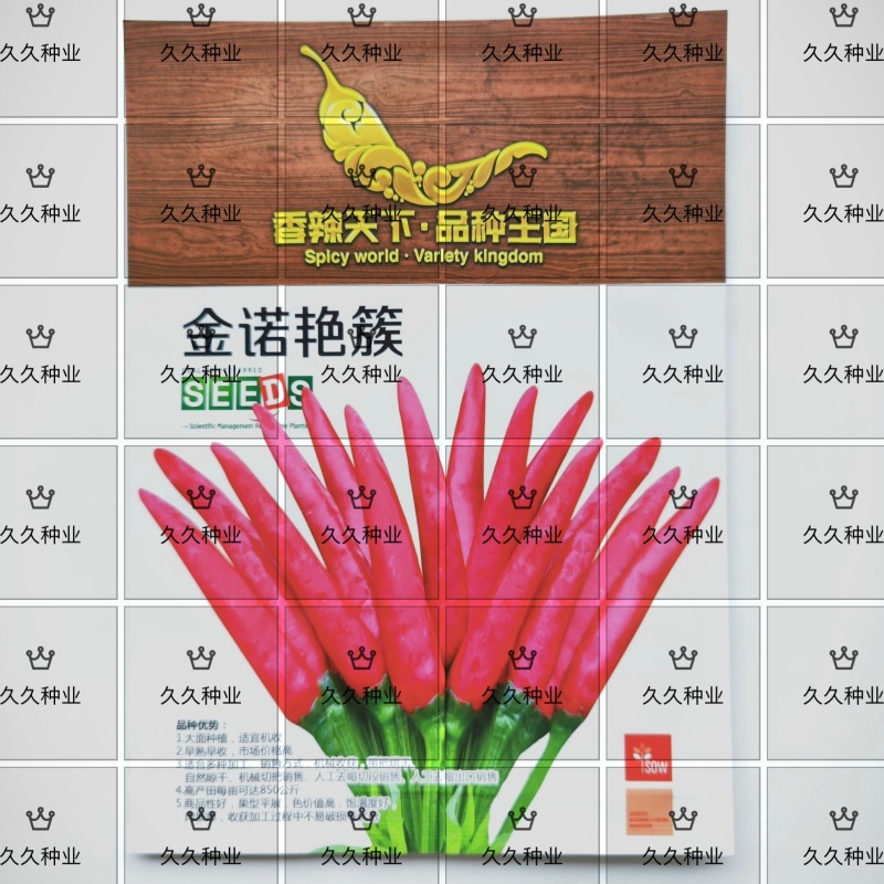 金诺艳簇辣椒种子新育成的三系杂交早熟高辣侧枝多