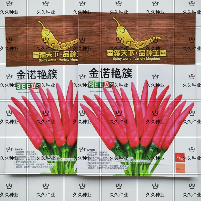 金诺艳簇辣椒种子新育成的三系杂交早熟高辣侧枝多