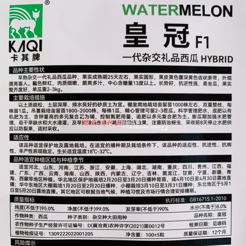 皇冠黄皮红肉礼品西瓜种子早熟特色小西瓜种籽瓤色艳红含糖量