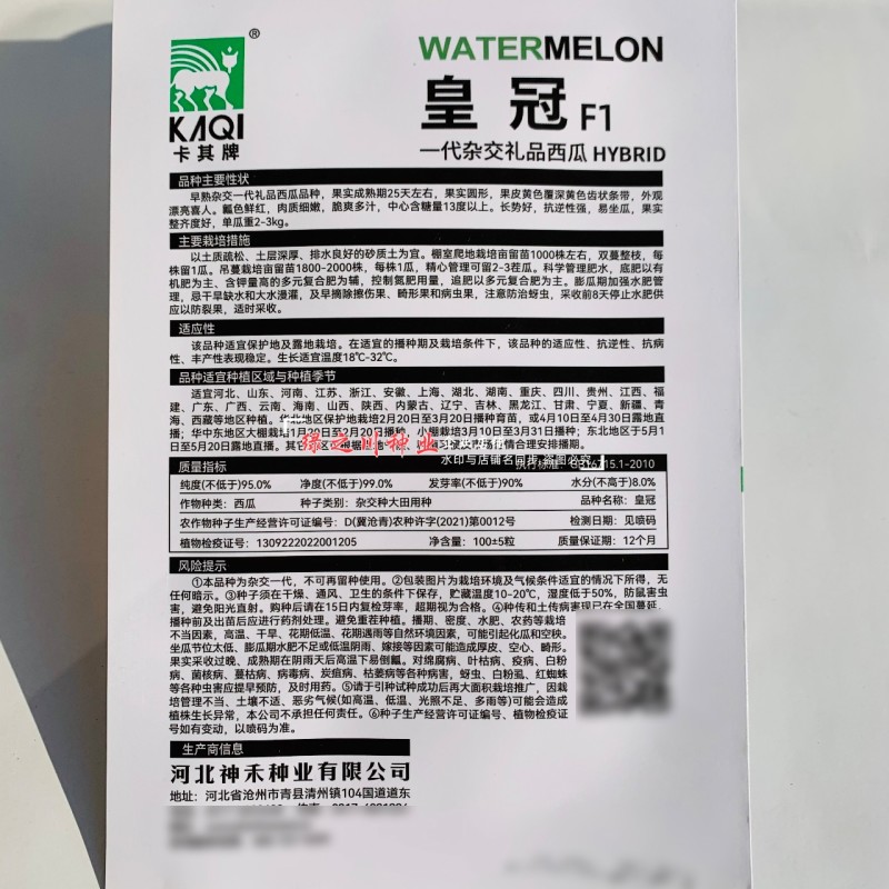 皇冠黄皮红肉礼品西瓜种子早熟特色小西瓜种籽瓤色艳红含糖量