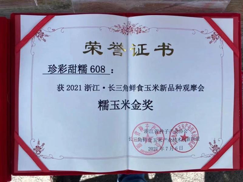 珍彩甜糯608玉米种子矮杆大棒高产抗病超甜鲜食杂交大田玉