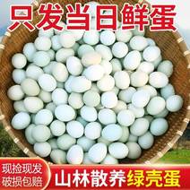 湘西特产散养绿壳土鸡蛋，富含蛋白质，维生素A、D和B元素