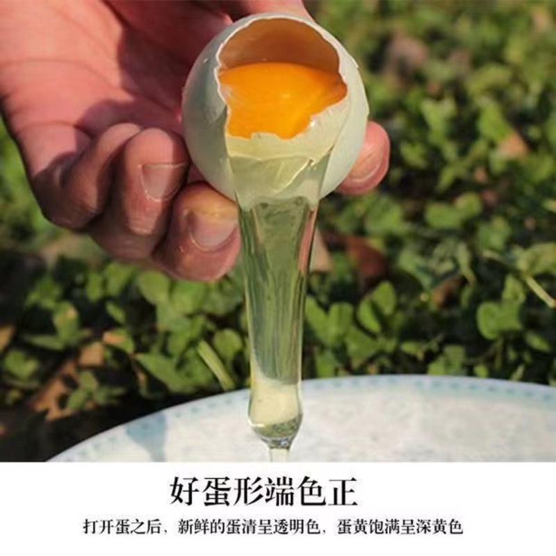 湘西特产散养绿壳土鸡蛋，富含蛋白质，维生素A、D和B元素