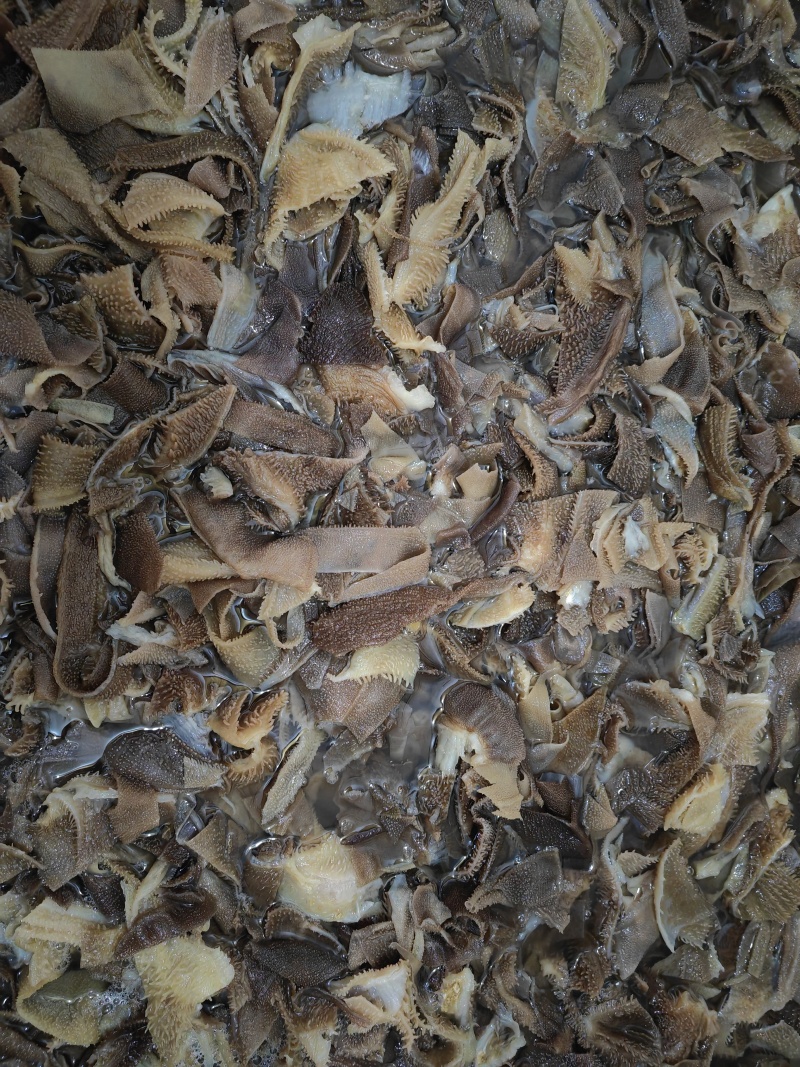 毛肚碎叶子