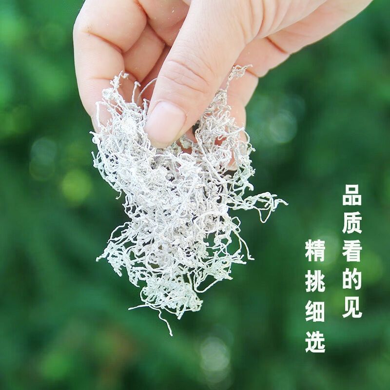 正宗湘西霉茶，古法手工制作，细如银丝，白霜满披，可以批发