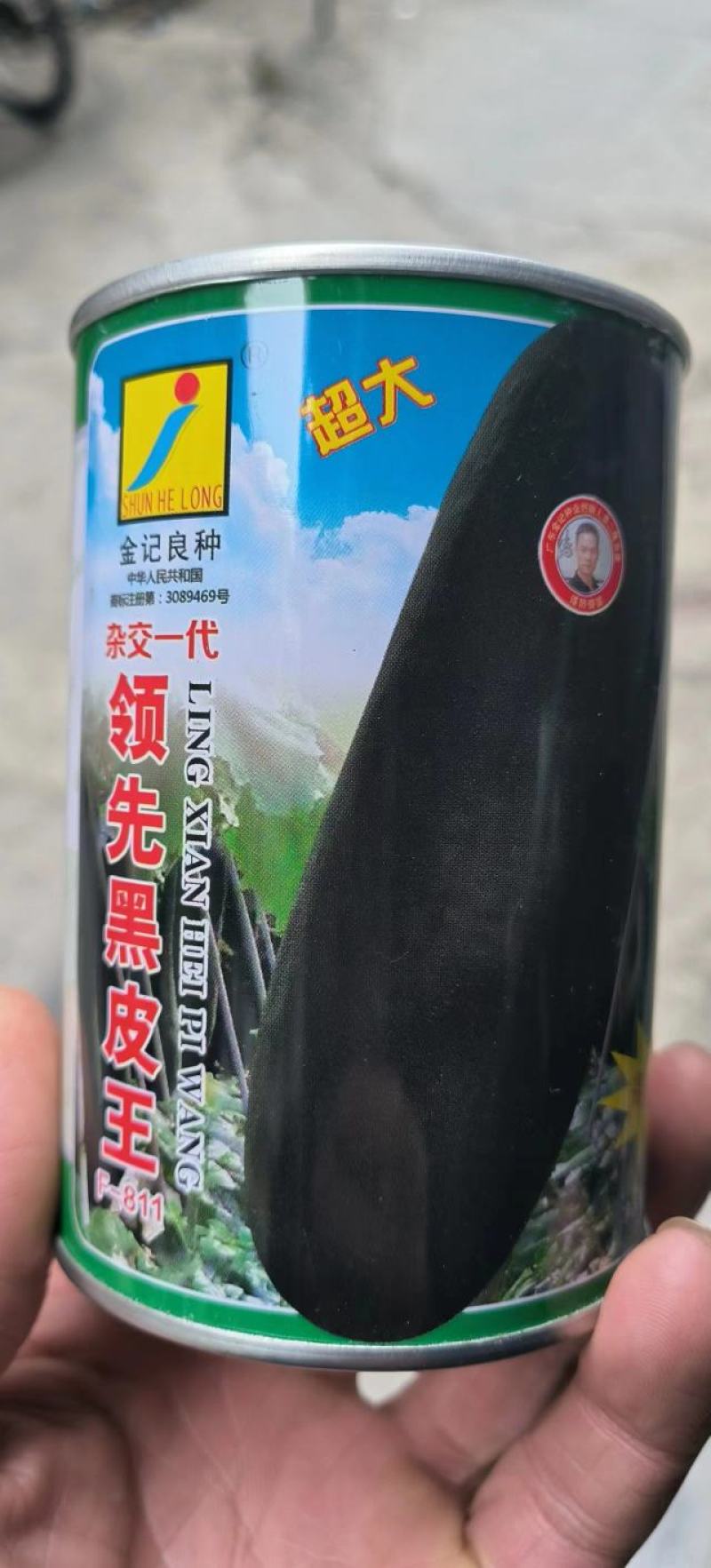 黑皮冬瓜种子领先黑皮王广东金记种业大果型高产量黑皮