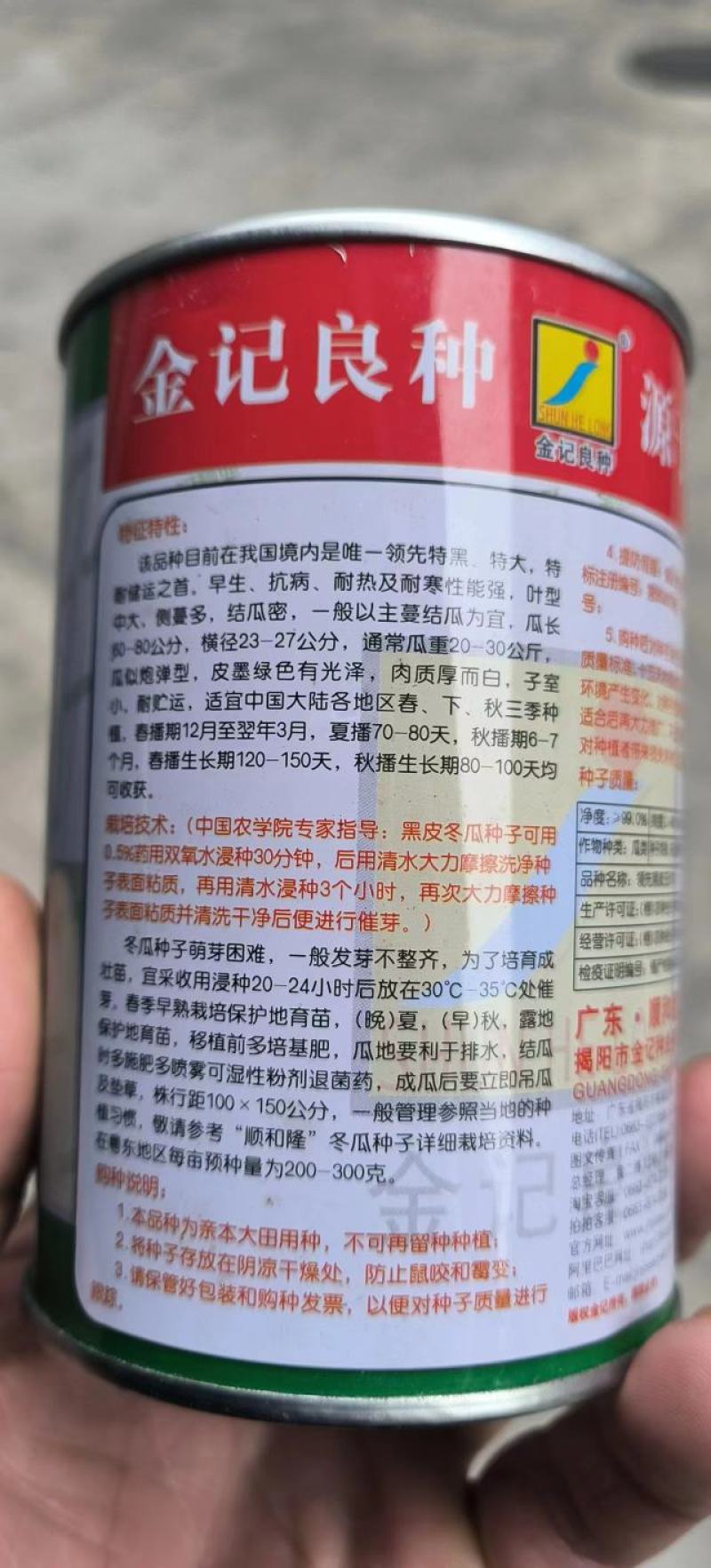黑皮冬瓜种子领先黑皮王广东金记种业大果型高产量黑皮