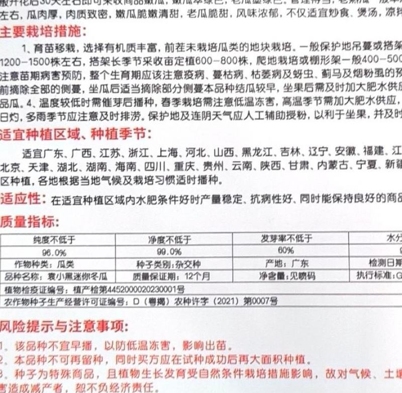 黑皮冬瓜种子领先黑皮王广东金记种业大果型高产量黑皮