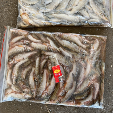 花骨鱼，去内脏，每袋3.5-4斤