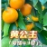 爱媛43柑橘苗柑桔苗黄公主