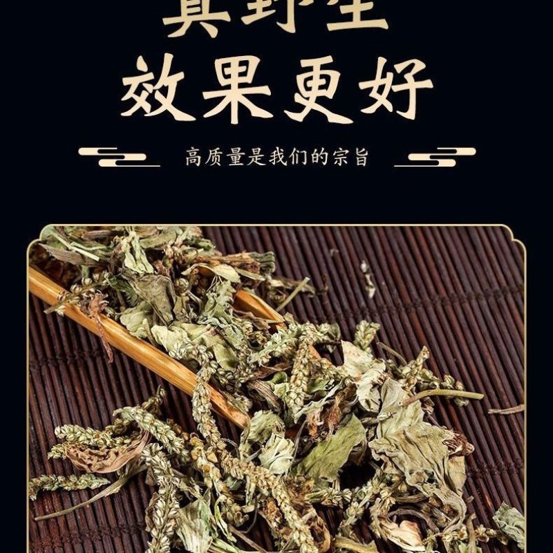 车前草中药材车前草水洗车前草干货野生猪耳朵秧车茶草平车前