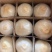 原产地直发海南椰子精品大量供应市场各种平台电商保质保量
