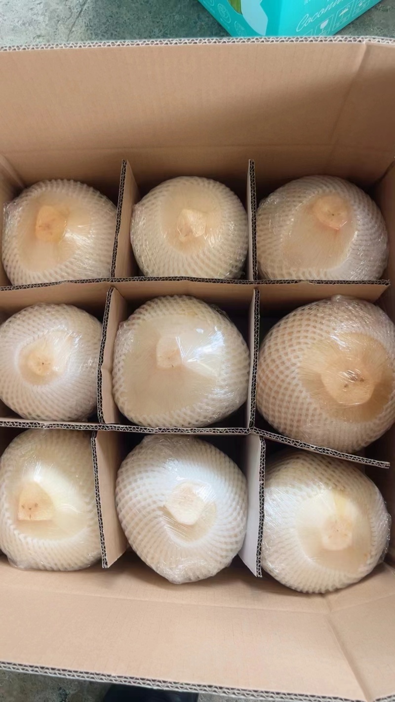 原产地直发海南椰子精品大量供应市场各种平台电商保质保量