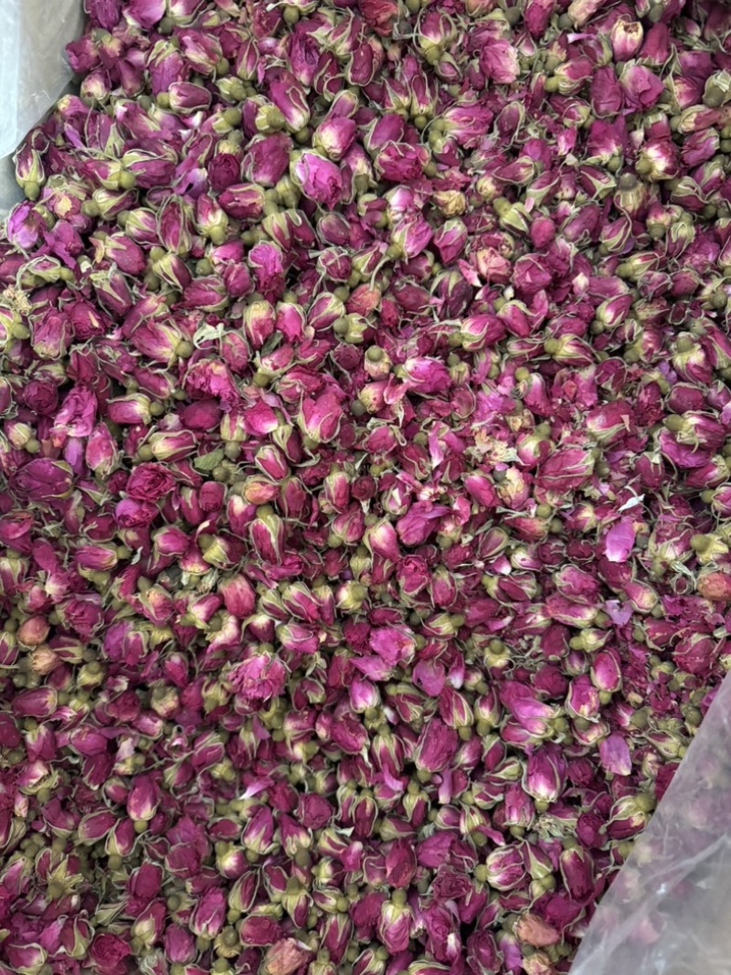 玫瑰花山东平阴玫瑰花干玫瑰玫瑰金边玫瑰实物拍摄