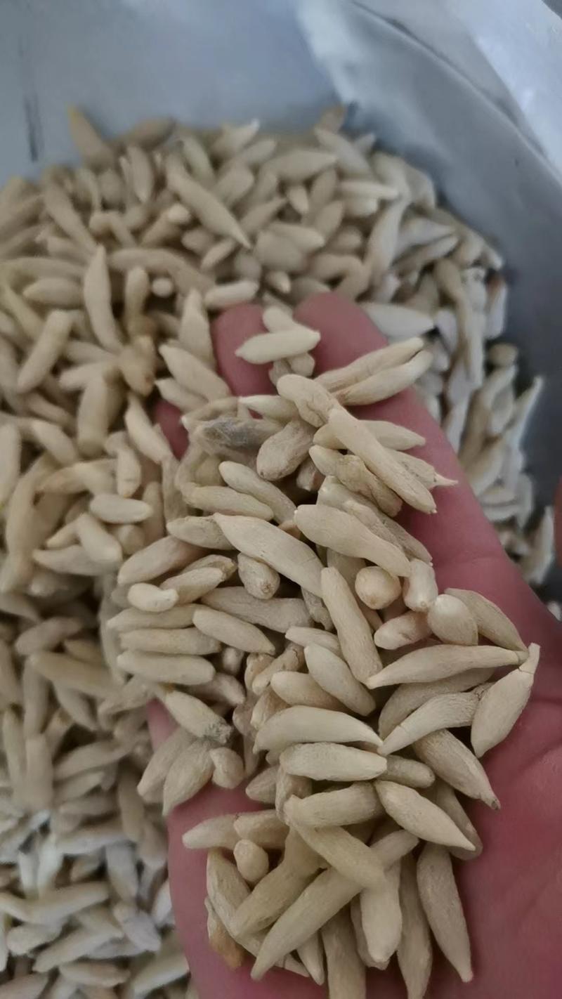 山东菏泽精品麦冬，品质保证，支持视频看货选购