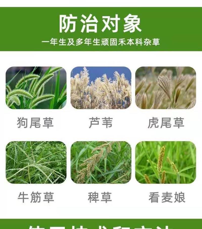 尖叶草除草剂高效氟吡甲禾灵芦苇盖草能除草剂高盖正品农田杂