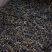 【云南普洱茶饼-凤凰山】严控工艺，口感甘甜，品人生好茶