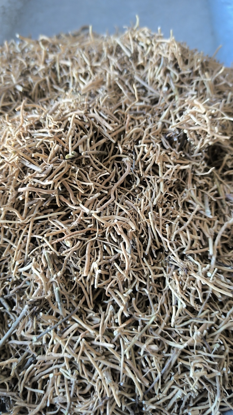 徐长卿水洗中药材批发徐长卿质量保证量大从优