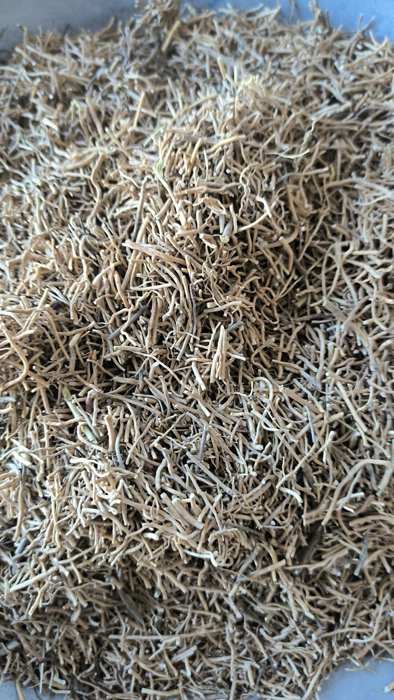 徐长卿水洗中药材批发徐长卿质量保证量大从优