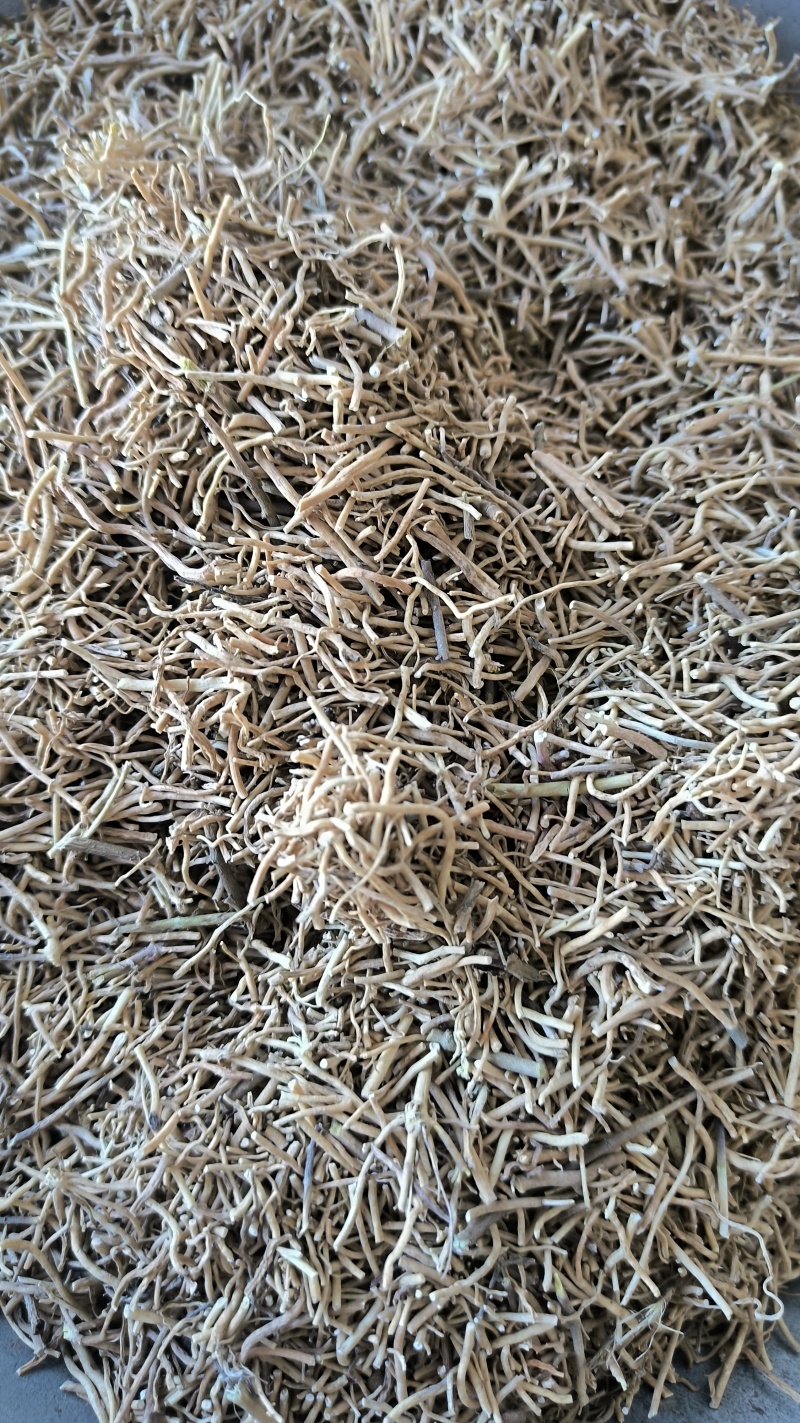 徐长卿水洗中药材批发徐长卿质量保证量大从优