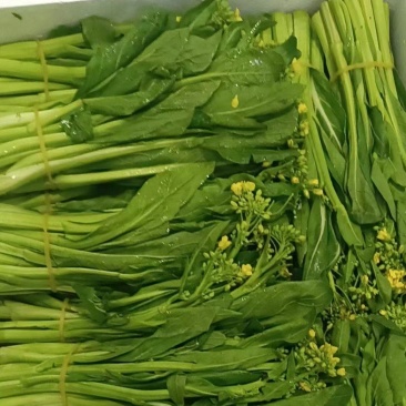 云南昆明呈贡区精品莱苔产地发货，量大从优