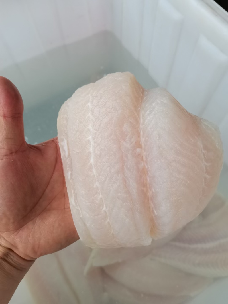 郑州巴沙鱼柳鱼块干冰去皮带皮巴沙鱼柳规格齐全