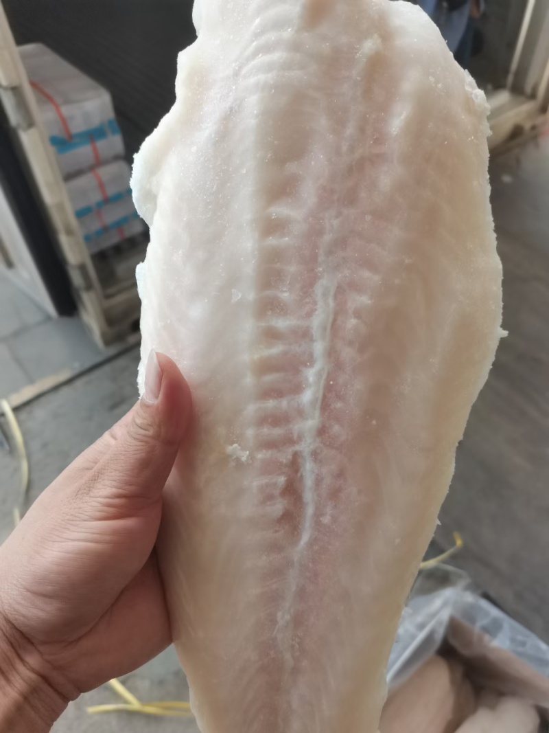 郑州巴沙鱼柳鱼块干冰去皮带皮巴沙鱼柳规格齐全
