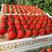 丹东红颜草莓九九草莓货源充足口感细腻品质保证