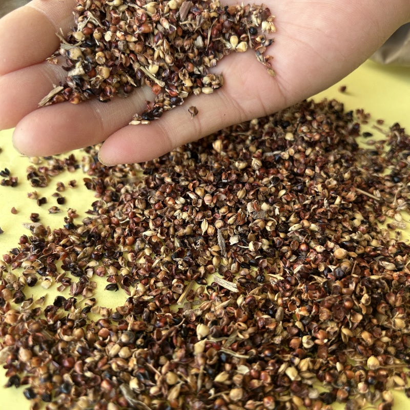 供应高粱壳菌类培育枕头填充高粱壳酿酒酿醋饲料添加高粱糠