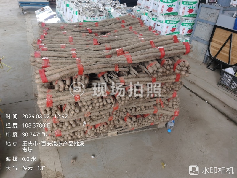 白玉长条