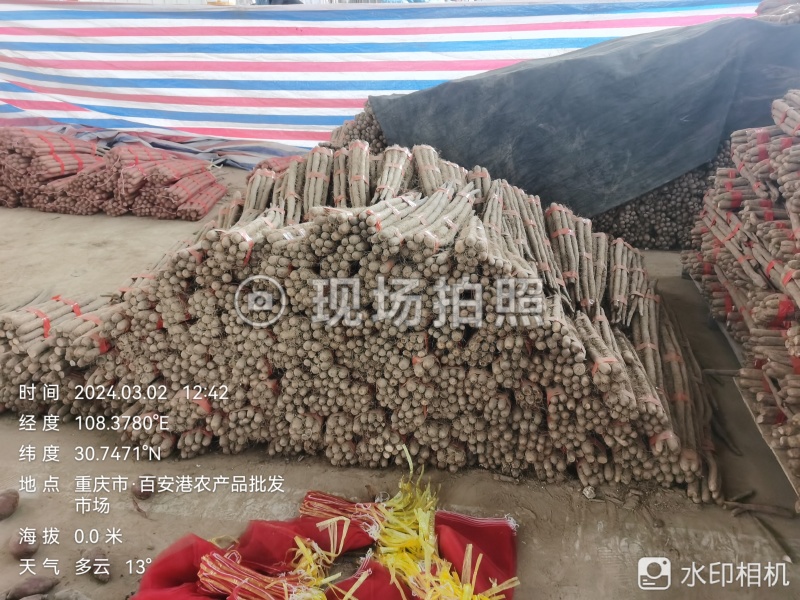 白玉长条