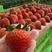 丹东九九草莓红颜草莓一件代发品质保证对接电商社区团购