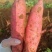 蜜薯