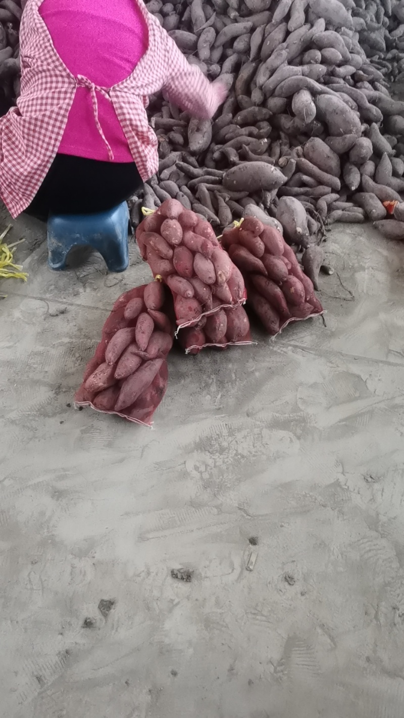 蜜薯