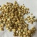 光慈姑山慈菇光慈菇白茨菇毛慈菇光茨菇冰球子