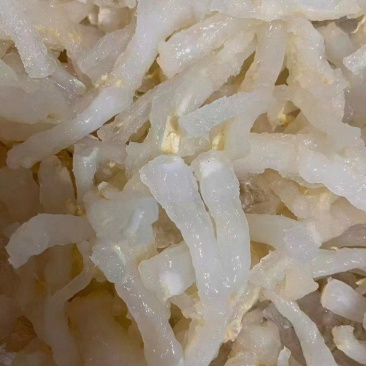 精品猪筋货源充足量大从优质量保证欢迎咨询