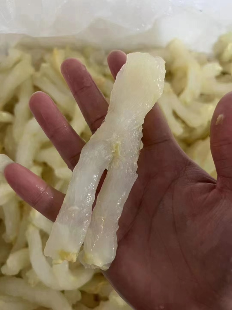 精品猪筋货源充足量大从优质量保证欢迎咨询