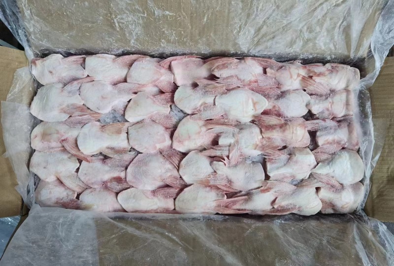 板冻鮰鱼翅质量好价格不贵，欢迎订购