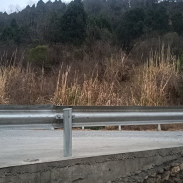 金丝楠木