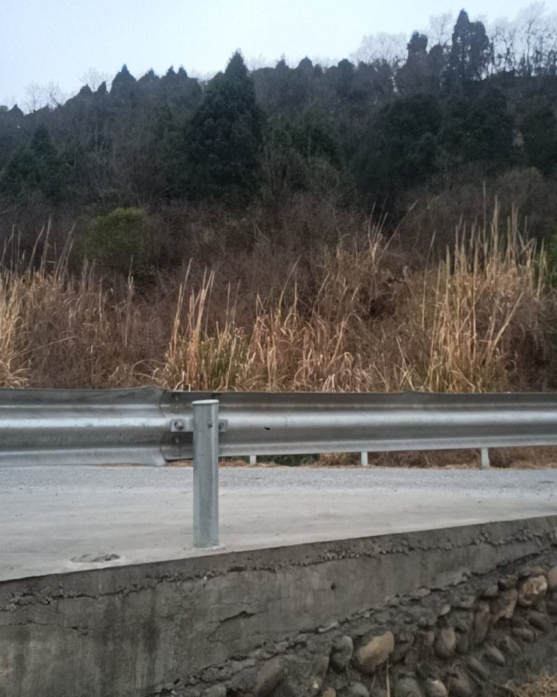 金丝楠木