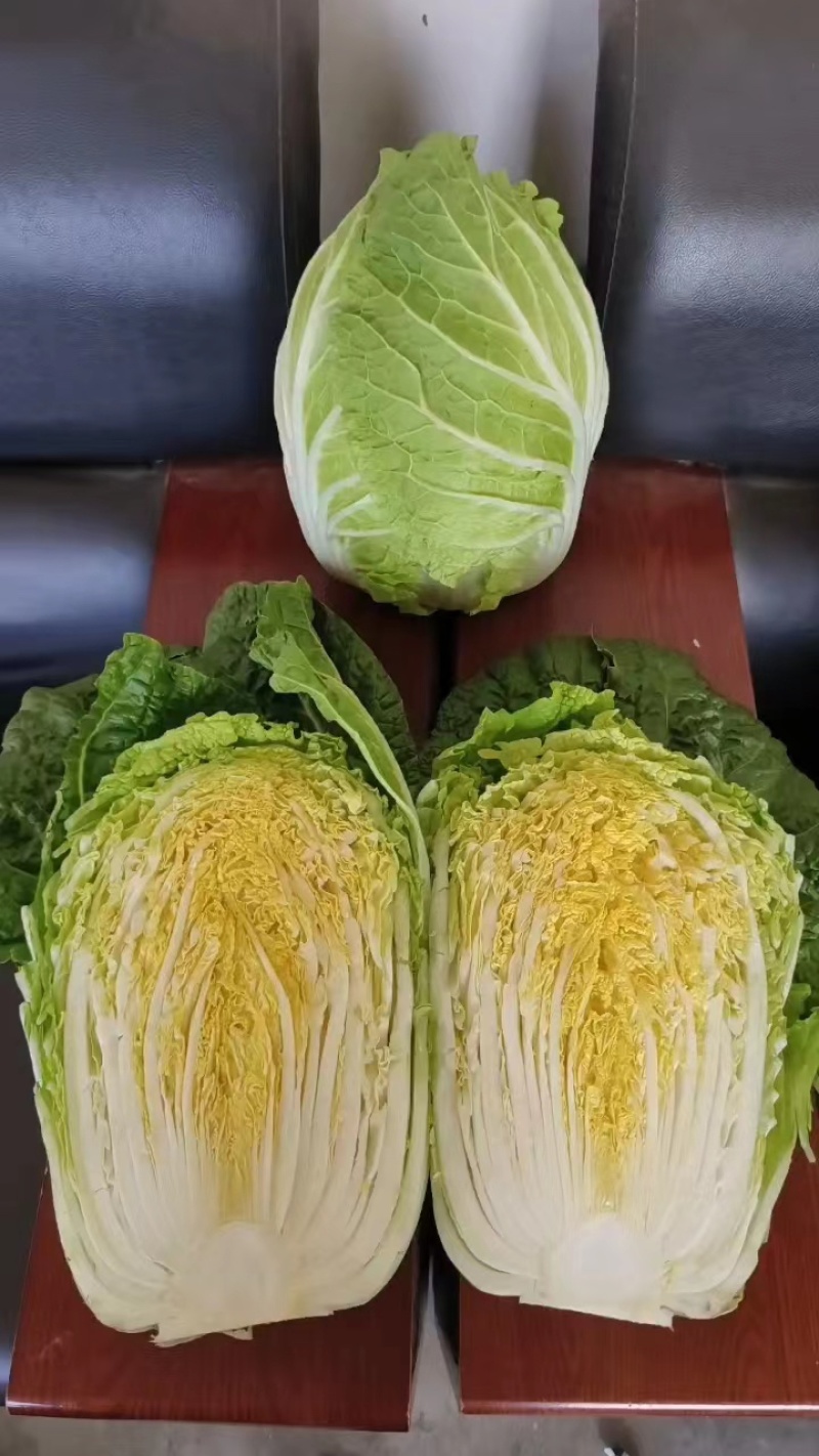 【黄心白菜】山东兰陵白菜大量上市口感好欢迎选购