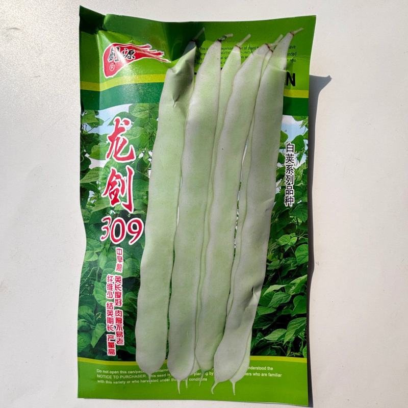 龙剑309架豆种子高产早熟蔓生无筋芸豆大棚盆栽四季播蔬菜