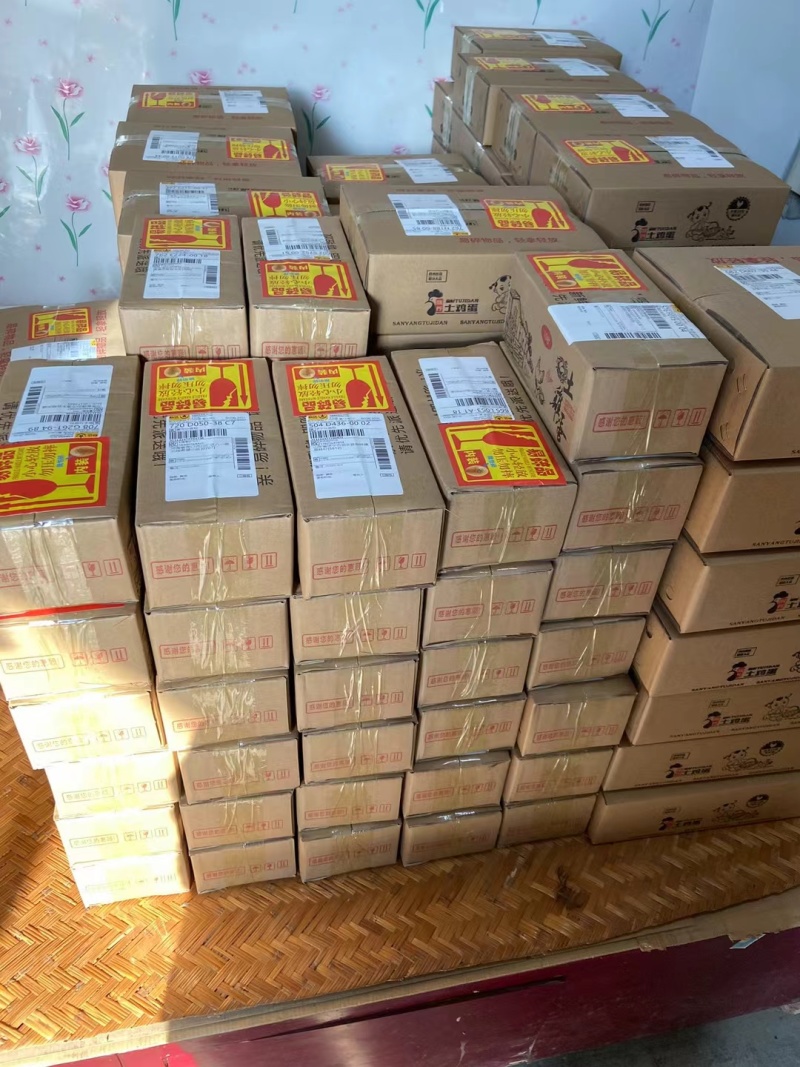 快大型青脚鸡种蛋麻鸡种蛋土鸡种蛋保障受精率
