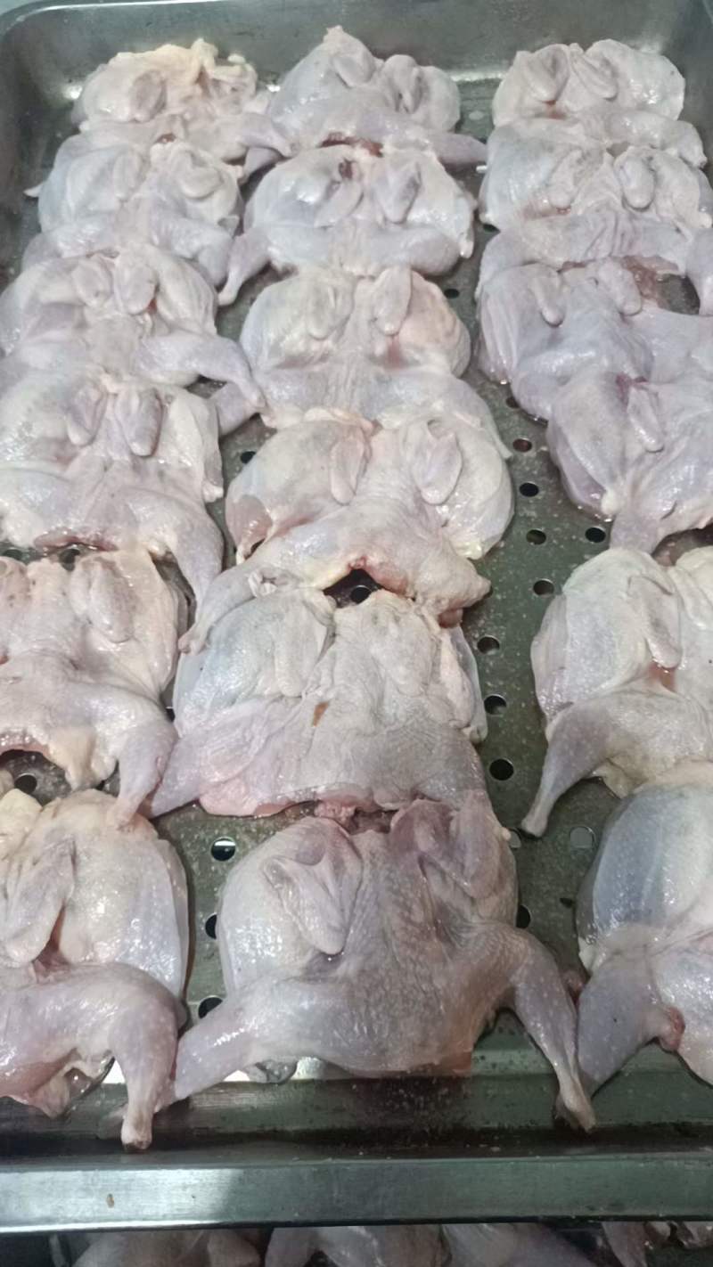 腌制鹌鹑（直接烤，100只/件）